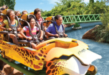 Busch Gardens Tampa Recognized As One Of The World’s Top Amusement Parks Busch Gardens Tampa | I-4 Exit Guide
