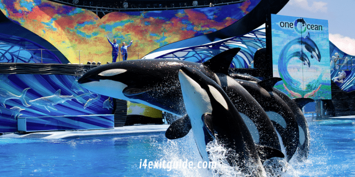 Seaworld Orlando - One Ocean | I-4 Exit Guide