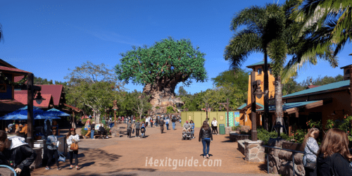 Disney's Animal Kingdom | I-4 Exit Guide