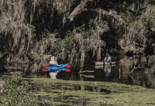 West Volusia’s Wildlife and Parks: The Best of Florida’s Great Outdoors Blue Springs State Park | I-4 Exit Guide