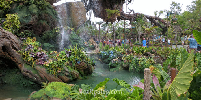 Disneyworld - Pandora - World of Avatar