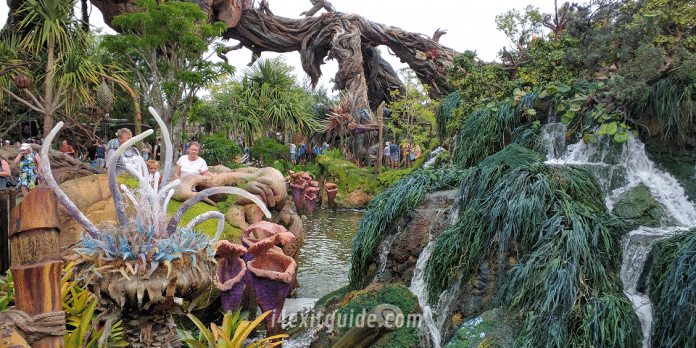 Pandora - The World of Avatar at Disney's Animal Kingdom