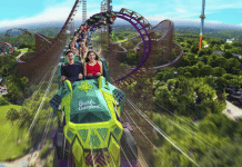 Busch Gardens and Adventure Island in Tampa Reopens June 11 Busch Gardens - Tampa Bay, Florida | I-4 Exit Guide