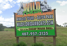 Wild Florida Becomes Central Florida’s Largest Family-Owned Adventure Park! Wild Florida | I-4 Exit Guide