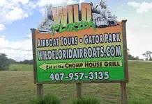 Wild Florida Proclaims Two Holidays: National Airboat Day & National Alligator Day Wild Florida | I-4 Exit Guide