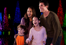 More Lights Than Ever Before at SeaWorld’s Christmas Celebration Seaworld Orlando Christmas | I-4 Exit Guide