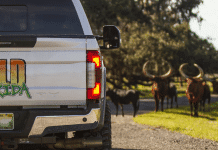 Wild Florida Celebrates 10 Years of Adventure With Free Weekday Gator Park Admission Wild Florida | I-4 Exit Guide