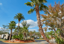 Tropical Palms RV Resort – Kissimmee, FL tropical-palms-rv-resort-–-kissimmee,-fl