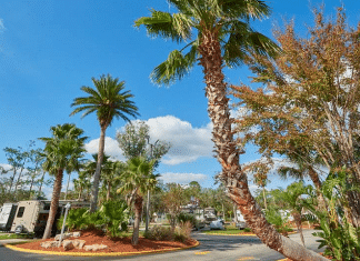 Tropical Palms RV Resort – Kissimmee, FL tropical-palms-rv-resort-–-kissimmee,-fl