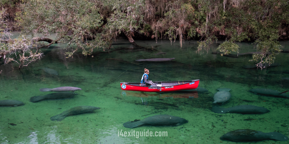 Blue Springs State Park in Deland, Florida | I-4 Exit Guide