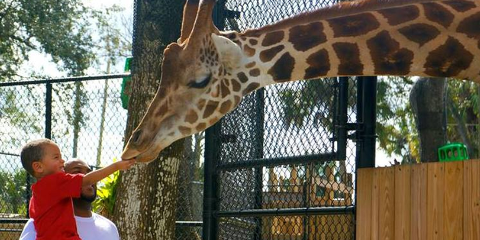 Central Florida Zoo & Botanical Gardens | I-4 Exit Guide