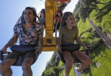 Phoenix Rising Set to Open at Busch Gardens Tampa Bay on July 21 Busch Gardens Tampa Bay | I-4 Exit Guide