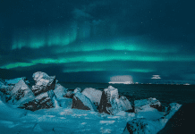 What’s New & Next for Kissimmee in 2025 SeaWorld Orlando - Artic Flying Theater | I-4 Exit Guide