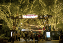 Busch Gardens Parks Shine Bright with Millions of Lights, New Holiday Entertainment Busch Gardens | I-4 Exit Guide